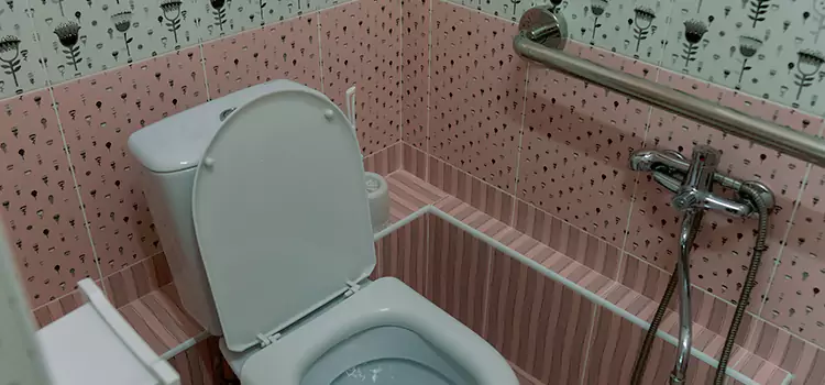 Meeting Diverse Needs With Accessible Restroom Solutions in Inglewood-Finn Hill, WA