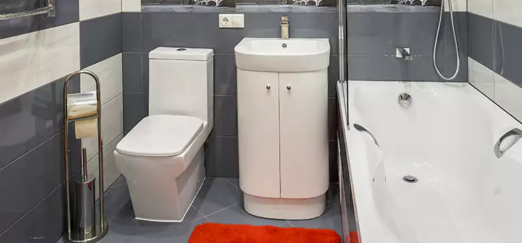 Hansgrohe Shaving Mirror Inglewood-Finn Hill
